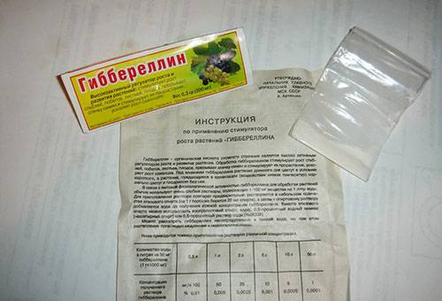 Girerellin - îngrășământ pentru hortensie