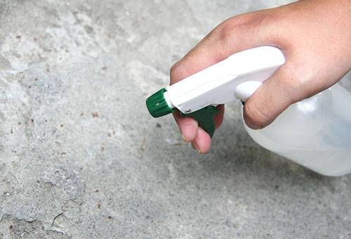 Aerosol din furnici