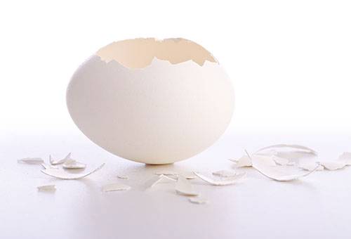 eggshell