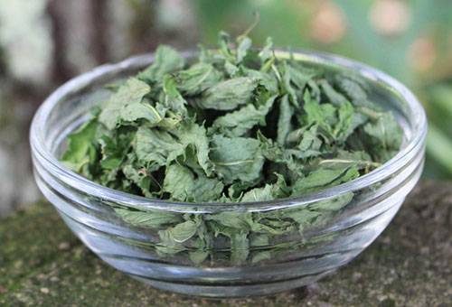 Menta uscata