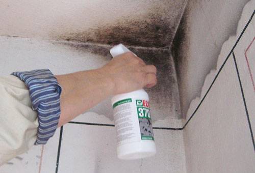 Aplicarea spray-ului fungicid pe un loc de matriță din colț