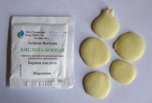 Remediu pentru gandaci din acid boric
