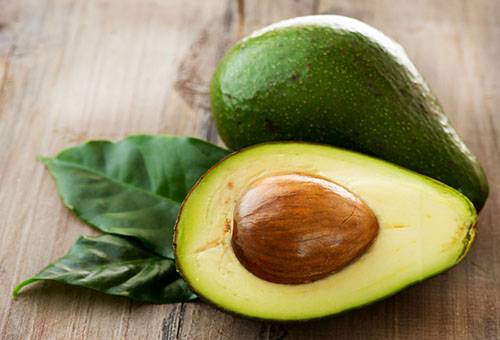 Avocado copt