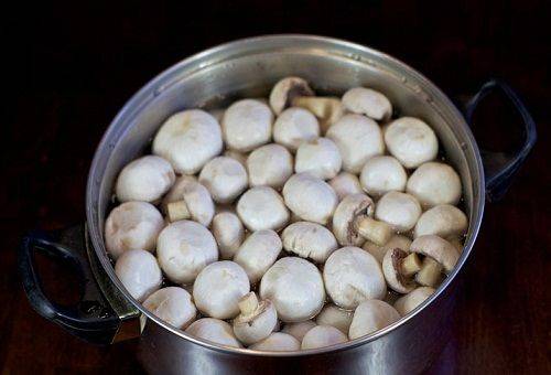 champignons în apă