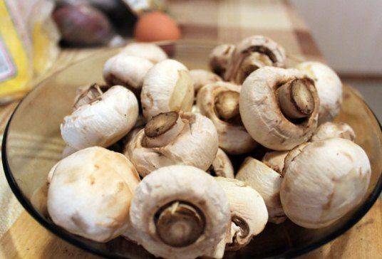 Champignons