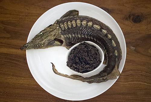 Sterlet cu caviar