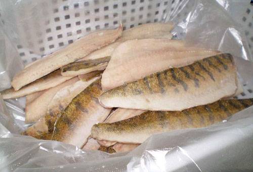 File de biberoane