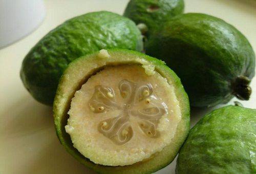 fructe coapte feijoa