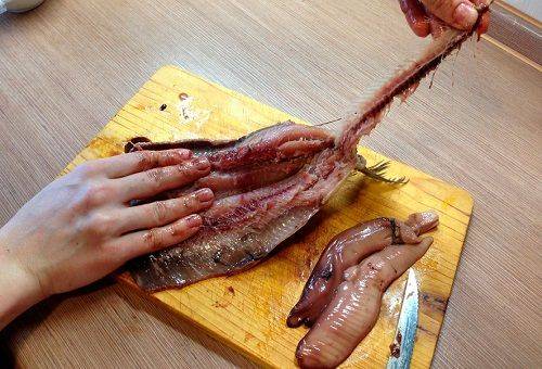 file de hering