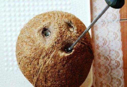 o inversare în găurile de cocos