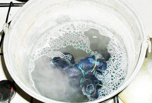 Blugi gătind