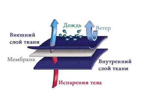 țesut membranar