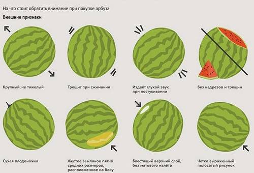 Reguli pentru alegerea pepene verde