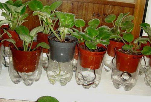 autowatering fitil