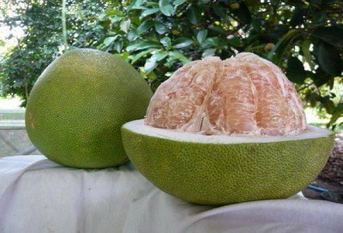 pomelo cu fructe exotice