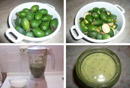 gem de feijoa