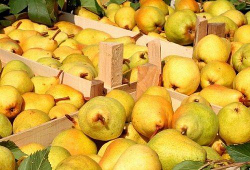perele de vară în lăzi