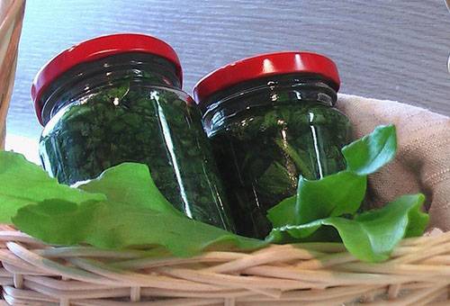 Sorrel din conserve în bănci