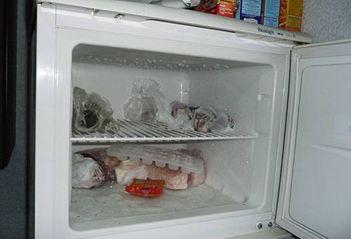Congelator alimentar