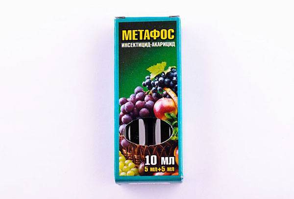 Insecticidul Metafos