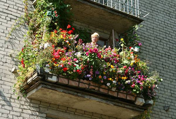 Multe culori pe balcon