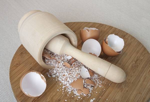 eggshell