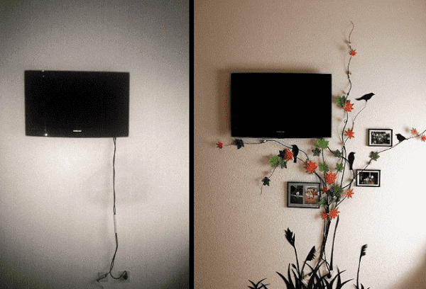 fire ascunse TV sub flori