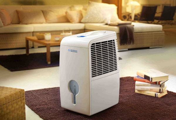 Ionizator de aer în apartament
