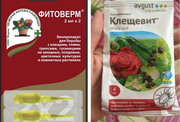 insecticide