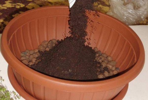 Drenarea plantelor