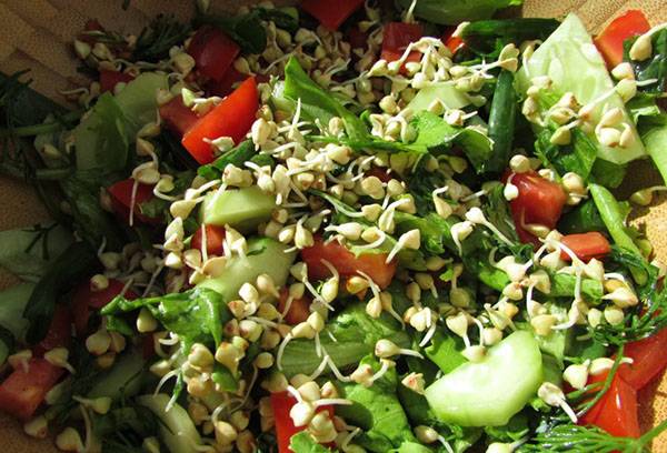 Salată de hrișcă verde