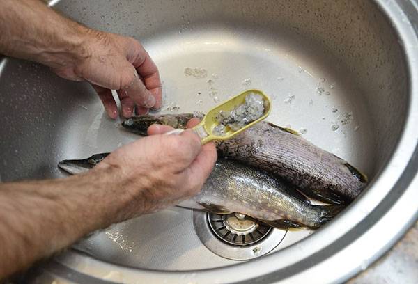 cuțit cu șerțuri pe lamă pentru îndepărtarea ușoară a fulgilor