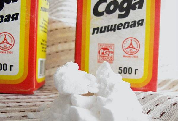 Soda de coacere