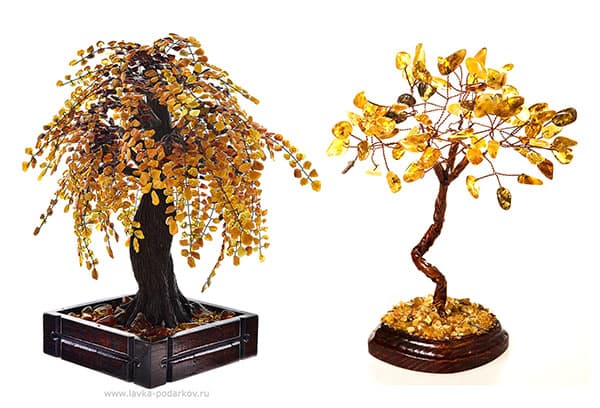 Arbori de chihlimbar