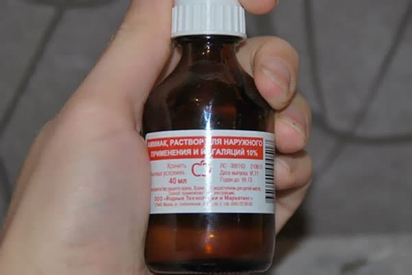 amoniac