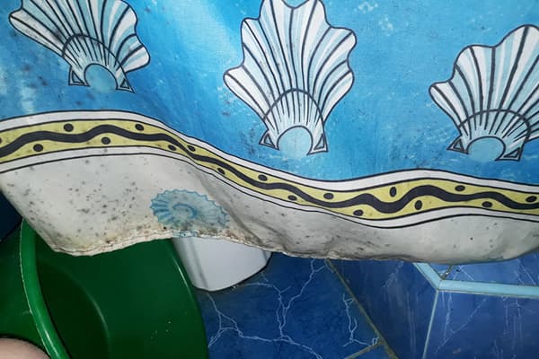 Mucega pe perdea pentru baie