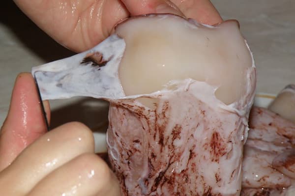 Pantofi de Squid
