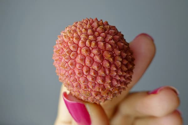 Fructe Lychee