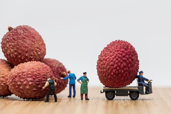 Compoziție cu Lychee Fruits