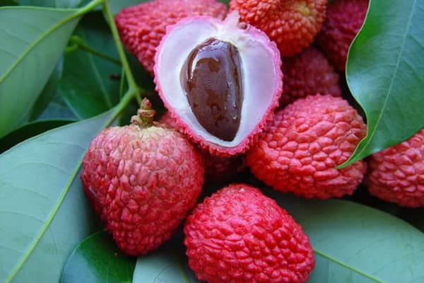Osul Lychee