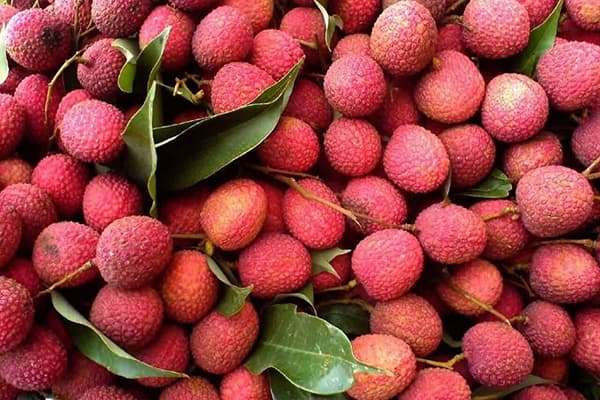 Fructe proaspete alese Lychee