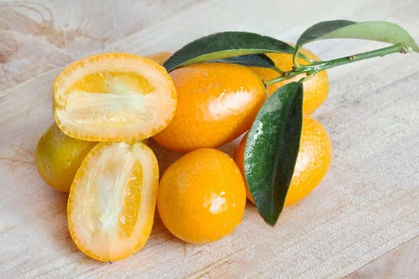 Fructe și frunze Kumquat