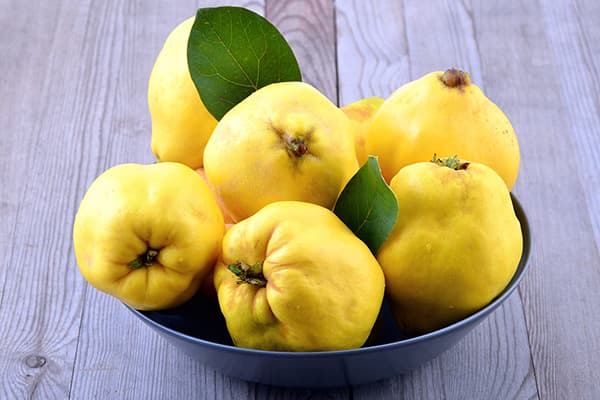 Fructe de gutui