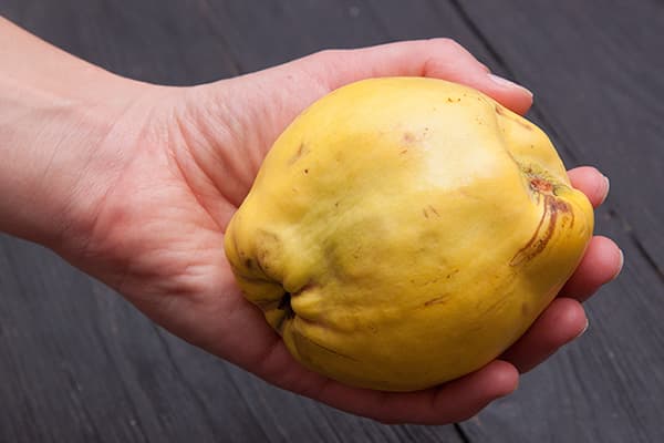 Femeia ține fructe de gutui
