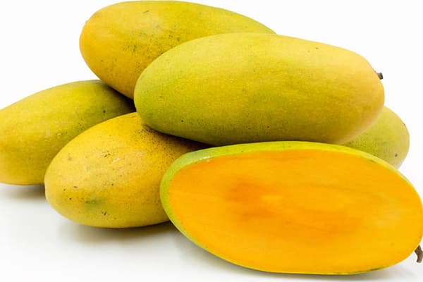 Mango Dashery