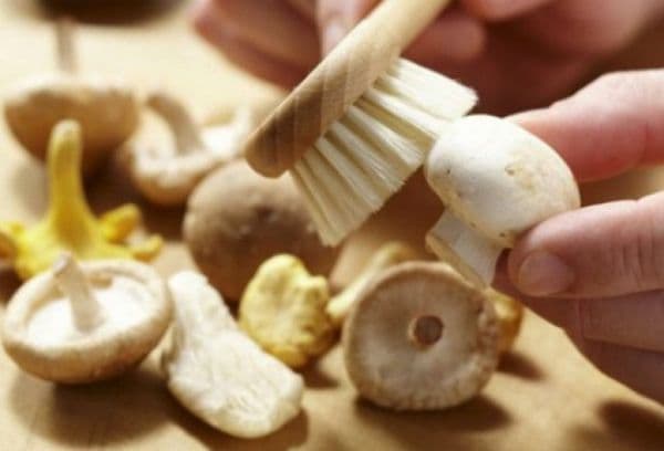 perierea ciupercilor