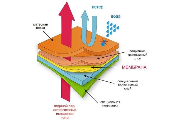 Termoveļas slāņi