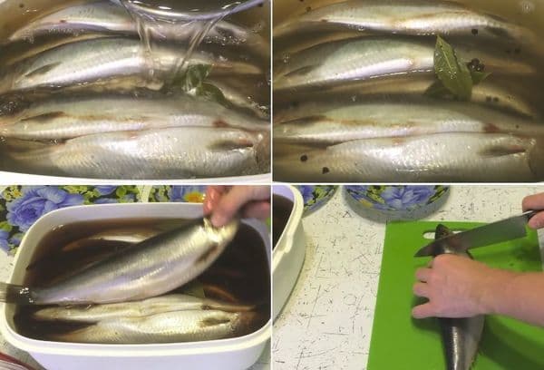 Pește marinat
