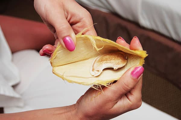 Seminte de mango