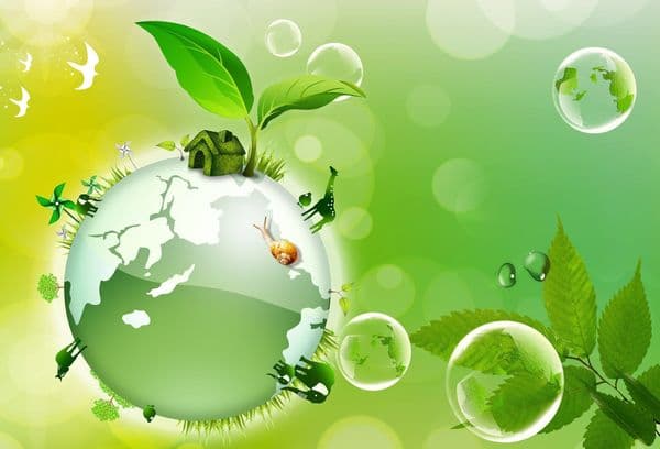 Ecologia mediului